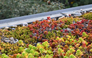 the cost of Greenodd green roof installation
