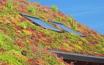 Greenodd living roof systems